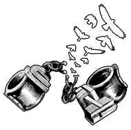 birds-chains